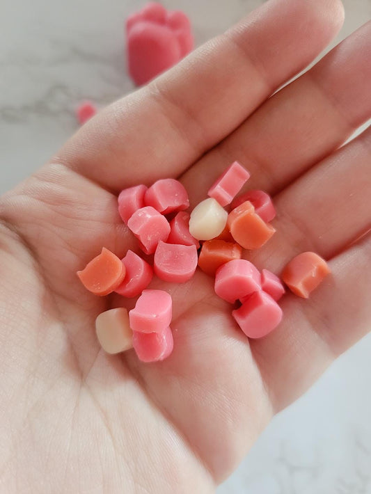 Catfetti- Mini Cat Shaped Wax Melts 4 oz & 1.5 oz Bag| Pick Your Scent | Handmade with Natural Wax| Scoopable Wax